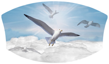 DNSWILL 101 BL Journey Home Clouds Birds Blue